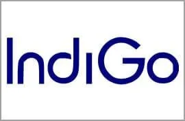 indigo-airline logo